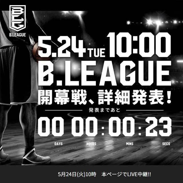 JAPAN PRO BASKETBALL