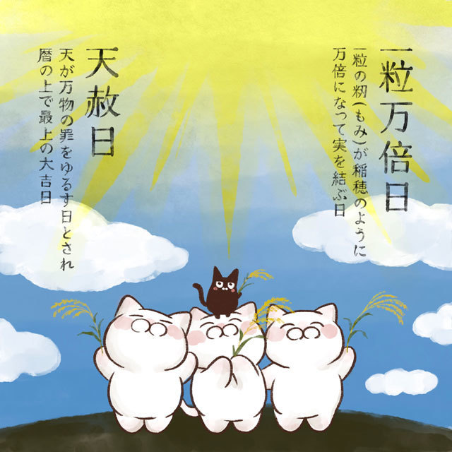 本日6月15日は最上の大吉日『天赦日』と『一粒万倍日』の2つが重なる縁起の良い日。 大和猫 @yamatokotobacat